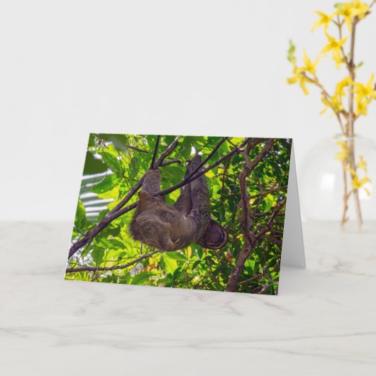 コスタリカ – Happy Lazy Sloth, Antonio Manuel NP カード (黄色い花)