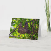 コスタリカ – Happy Lazy Sloth, Antonio Manuel NP カード (正面)