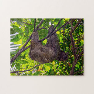 コスタリカ – Happy Lazy Sloth, Antonio Manuel NP ジグソーパズル