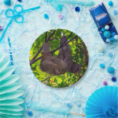 コスタリカ – Happy Lazy Sloth, Antonio Manuel NP ペーパープレート (パーティー)