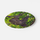 コスタリカ – Happy Lazy Sloth, Antonio Manuel NP ペーパープレート (アングル)