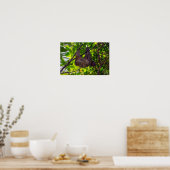 コスタリカ – Happy Lazy Sloth, Antonio Manuel NP ポスター (キッチン)