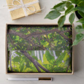 コスタリカ – Happy Lazy Sloth, Antonio Manuel NP 薄葉紙 (ギフト)