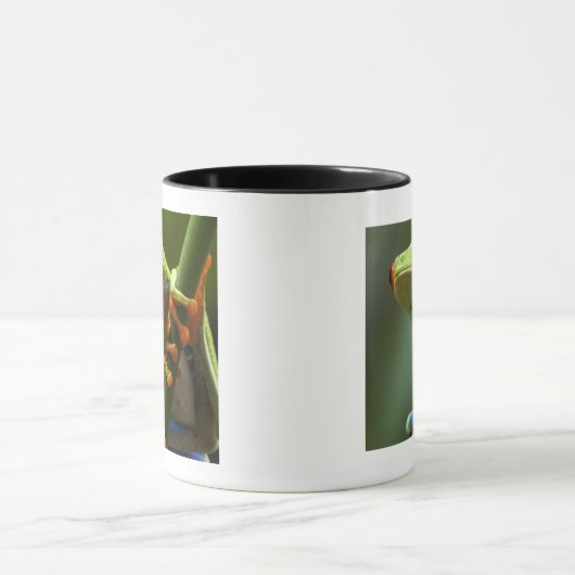 コスタリカ、Monteverdeの目が赤いアマガエル マグカップ (中央)