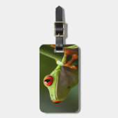 コスタリカ、Monteverdeの目が赤いアマガエル ラゲッジタグ (正面縦)