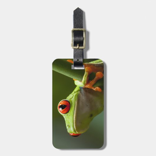 コスタリカ、Monteverdeの目が赤いアマガエル ラゲッジタグ (正面縦)