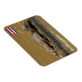 コスタリカ， Tortuguero - Smilling crocodile マグネット (右側)