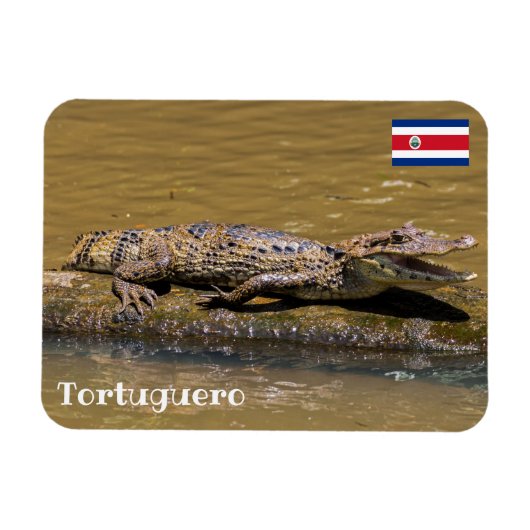コスタリカ， Tortuguero - Smilling crocodile マグネット (横)