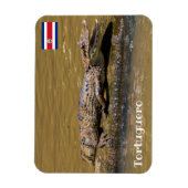 コスタリカ， Tortuguero - Smilling crocodile マグネット (縦)