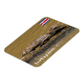 コスタリカ， Tortuguero - Smilling crocodile マグネット (左側)