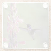 コスタ魅力的のハミングバード ガラスコースター (裏面)