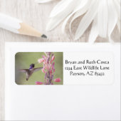 コスタ魅力的のハミングバード ラベル (インサイチュ)