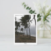 コスタ・ド・サウイーペのポストカード ポストカード (スタンド正面)