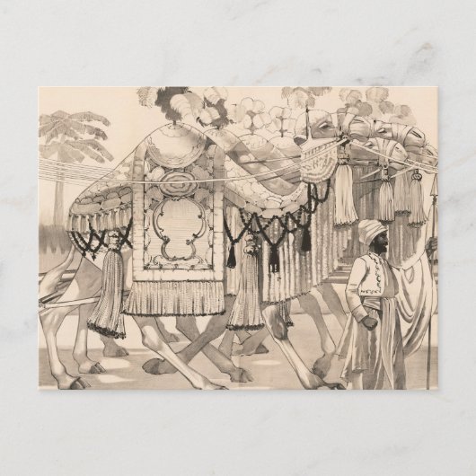 コスチュームを着たラクダ歩く ポストカード (正面)