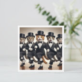 コスチュームパーティー、タップダンス、ダンスパーティー、猫 招待状 (スタンド正面)