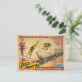 コステロ素晴らしス・トラペーズ・ショー・サーカス・ポスター ポストカード (スタンド正面)