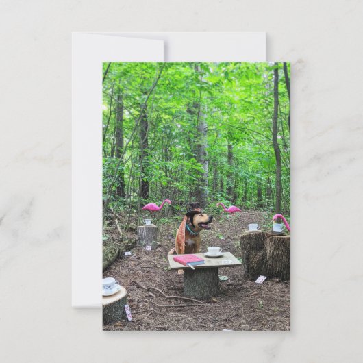 コスプレ不機嫌ハッターブックおもしろい犬フォトカード サンキューカード (正面)