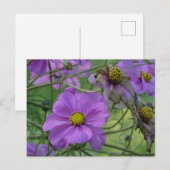コスメアの花のDIYポストカード ポストカード (正面/裏面)