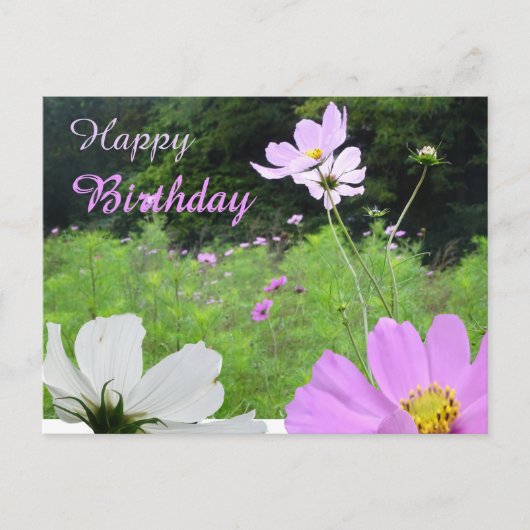 コスメア・ワイルドフラワーズフィールドハッピーバースデーはがき ポストカード (正面)