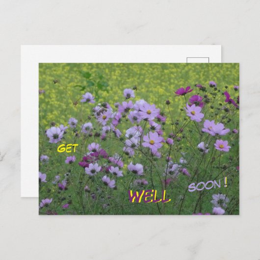コスモアと菜の花畑　早く治りますように ポストカード (正面/裏面)
