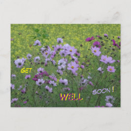 コスモアと菜の花畑　早く治りますように ポストカード