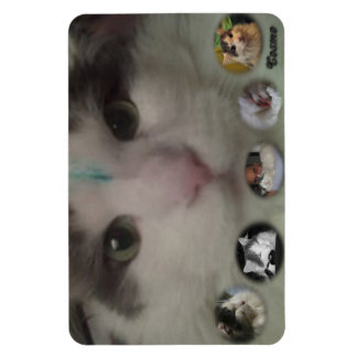 コスモコラージュ写真磁石 マグネット