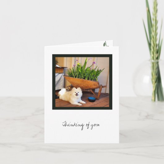 コスモコレクショ空白のン1ノートカード カード (正面)