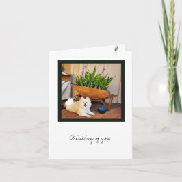 コスモコレクショ空白のン1ノートカード カード