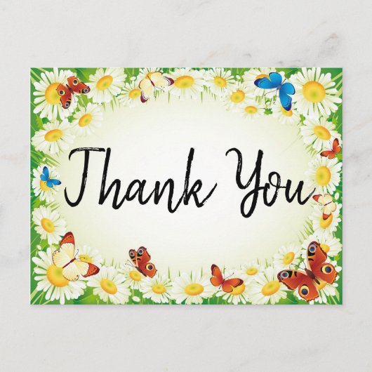 コスモスとデイジー ポストカード (正面)