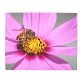 コスモスとビー メタルプリント