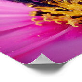 コスモスの花のマルハナバチ ポスター (角)