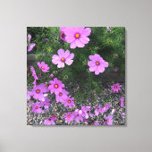 コスモスの花の上に小石 キャンバスプリント (正面)