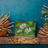 コスモスの花 フォトプラーク (側面)