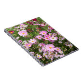 コスモスの花(台湾ビデンス)。カークウッド ノートブック (右側)