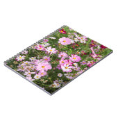 コスモスの花(台湾ビデンス)。カークウッド ノートブック (左側)