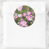 コスモスの花(台湾ビデンス)。カークウッド ラウンドシール (バッグ)