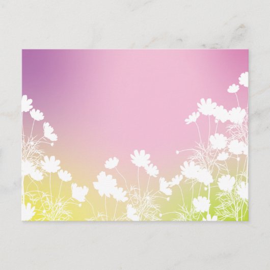 コスモスの花|秋の風を感じるポストカード ポストカード (正面)