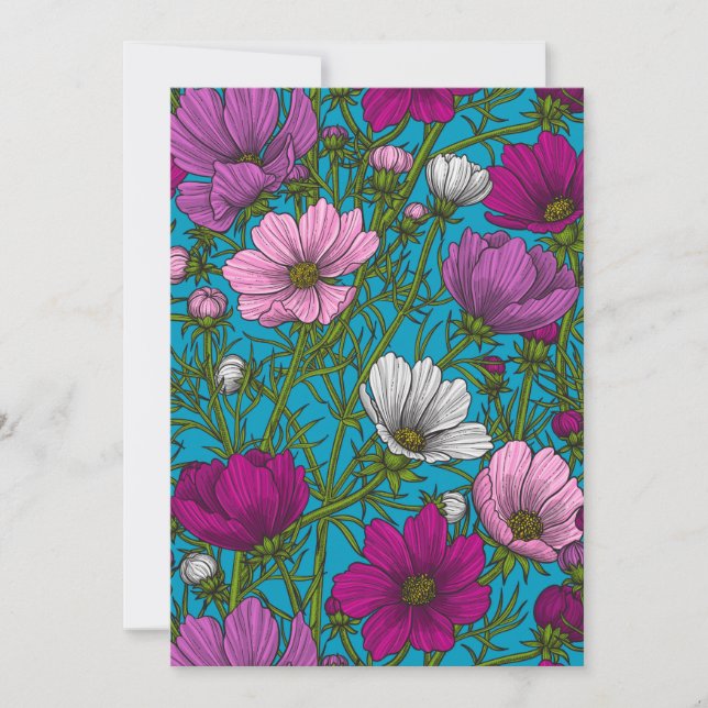 コスモスは青で混ぜ合う (正面)