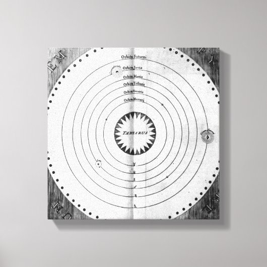 コスモスイラストレーション キャンバスプリント (正面)