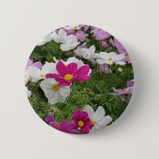 コスモスカラフルフラワーガーデン 缶バッジ (正面)