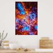 コスモスカラフル ポスター (キッチン)