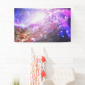 コスモスカラフル 横断幕 (インサイチュ)