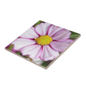 コスモスフラワー（タイワンゴケ） タイル (側面)