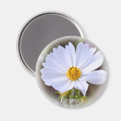 コスモスマグネット マグネット (正面/裏面)