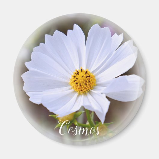 コスモスマグネット マグネット (正面)