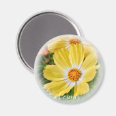 コスモスマグネット マグネット (正面/裏面)