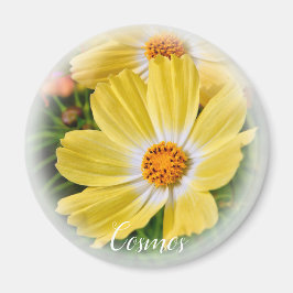 コスモスマグネット マグネット