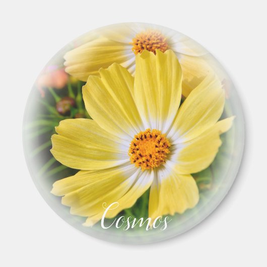 コスモスマグネット マグネット (正面)