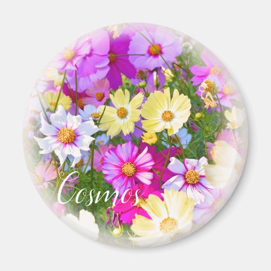 コスモスマグネット マグネット (正面)