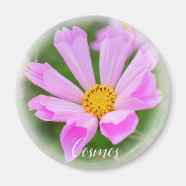 コスモスマグネット マグネット